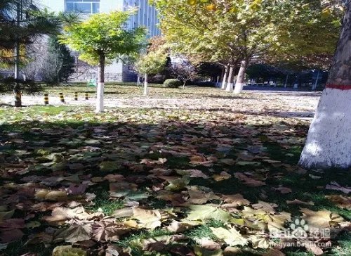 【校园指南】山西医科大学汾阳学院天气应对攻略