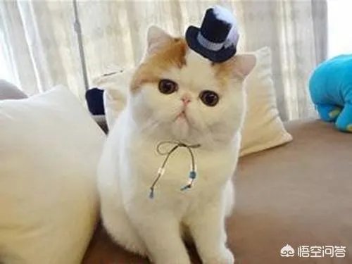 异短感冒会自愈吗，异短在夏天感冒正常吗？