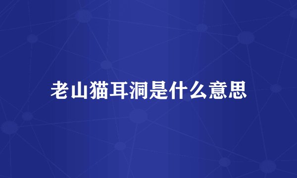 老山猫耳洞是什么意思