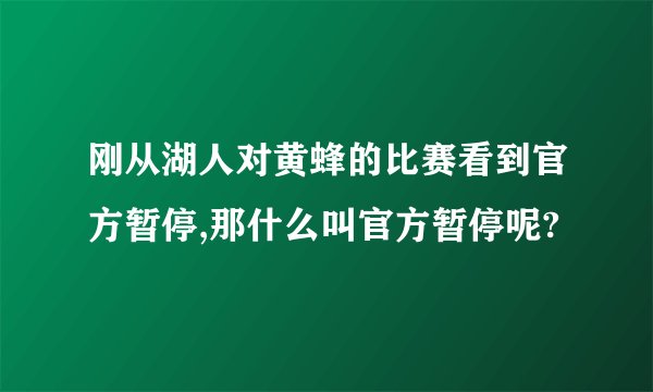 刚从湖人对黄蜂的比赛看到官方暂停,那什么叫官方暂停呢?