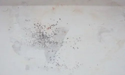 房间墙壁发霉怎么处理  墙壁发霉的原因及危害