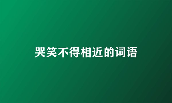 哭笑不得相近的词语