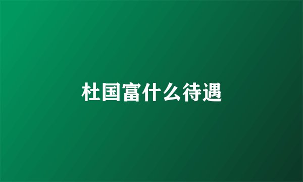 杜国富什么待遇