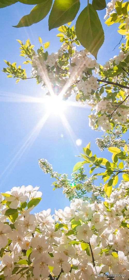 在网上做兼职体验试玩平台一天，大概能赚多少？