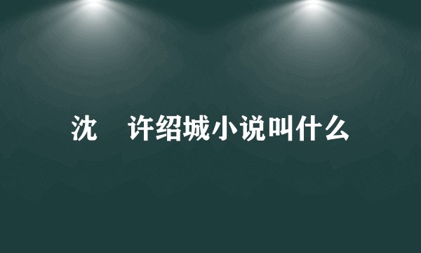 沈玥许绍城小说叫什么