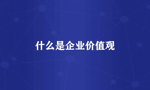 什么是企业价值观