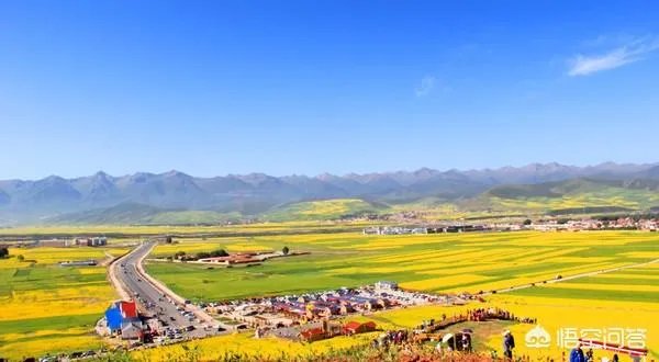 青海门源你去过吗？