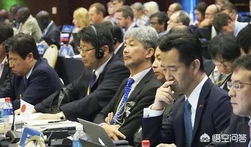 日本退出《全球禁止捕鲸公约》是出于政治目的还只是经济目的？