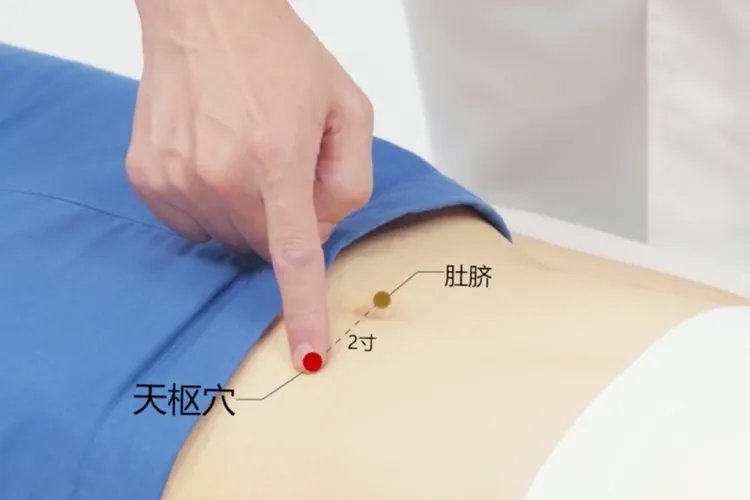 脾胃贴贴在哪个位置示意图