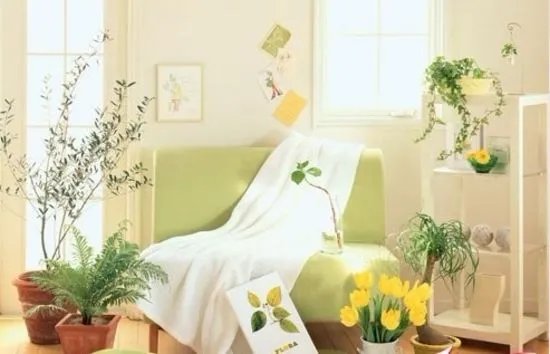 一个人的幸福小窝