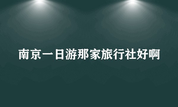 南京一日游那家旅行社好啊