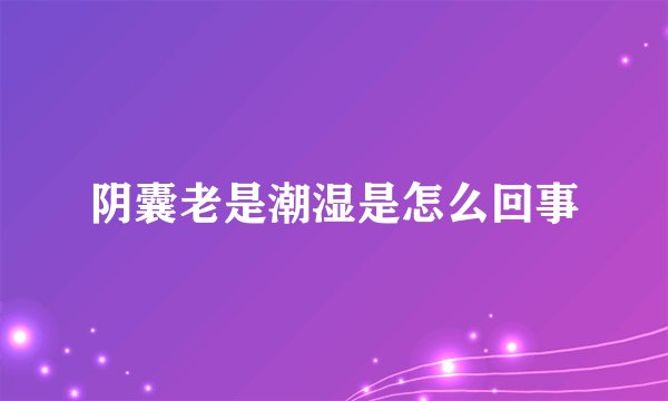 阴囊老是潮湿是怎么回事