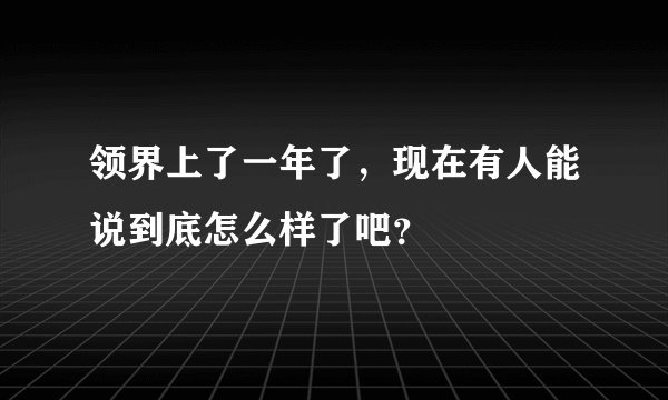 领界上了一年了，现在有人能说到底怎么样了吧？