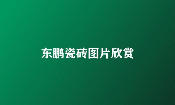 东鹏瓷砖图片欣赏