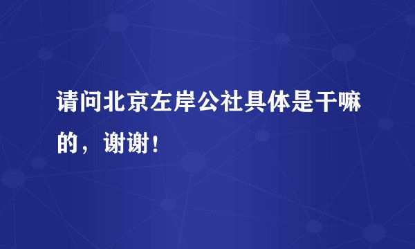 请问北京左岸公社具体是干嘛的，谢谢！
