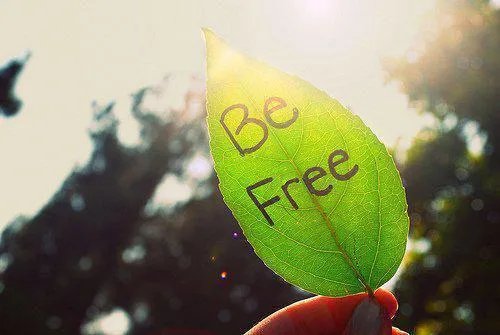 云疏月萧苍衍小说 云疏月萧苍衍免费阅读