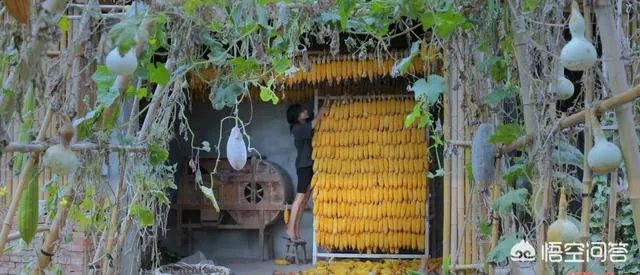 李子柒是不是文化输出引热议,你怎么看?