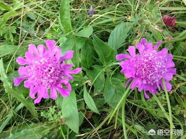 有哪些景点适合一日游？