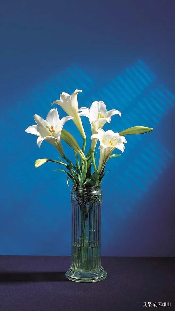 三年前火到上春晚,如今却与东奥无缘,傅园慧的坠落谁来买单?