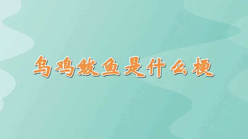 乌鸡鲅鱼是什么梗