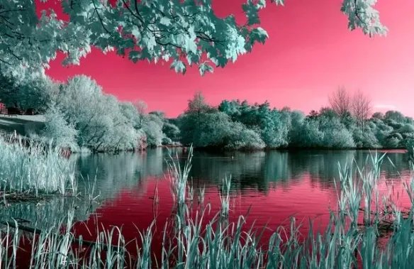 一加八透视是怎么回事 一加八秋意滤镜透光原理介绍