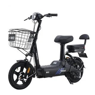 新日电动车电池价格