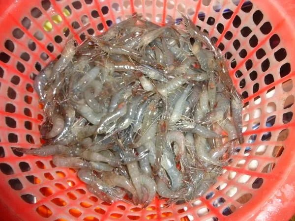 小虾怎么做好吃？