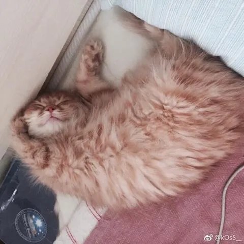 大型偶像养成类综艺《明日之子》里你最喜欢哪个选手?