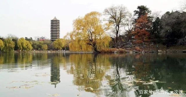 王永强事件最新进展