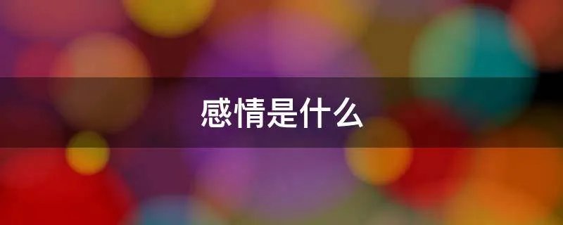 感情是什么