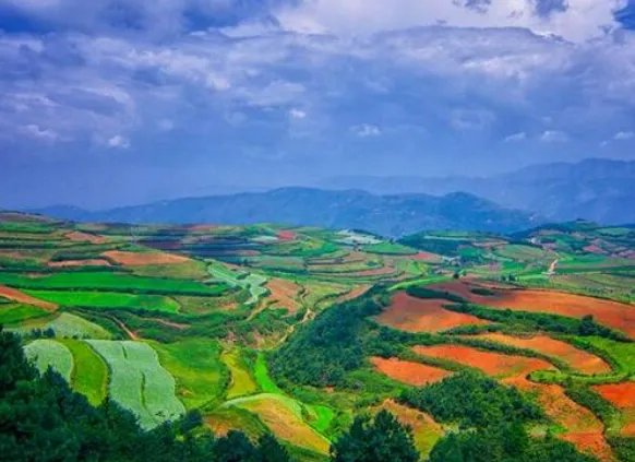 端午节天气一般怎么样2020 端午节气温大概是多少？