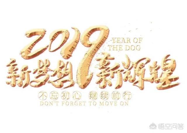 2019年央视春晚你最喜欢哪个节目？