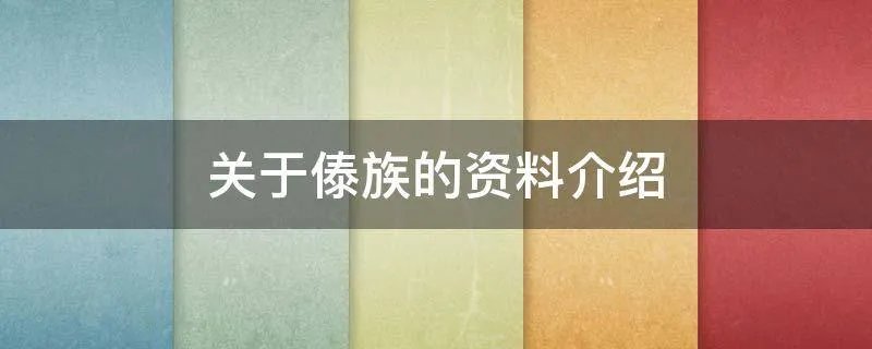 关于傣族的资料介绍