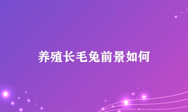 养殖长毛兔前景如何