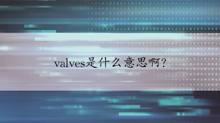 valves是什么意思啊？