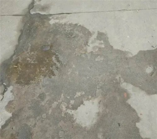 西安退休局长遇害  凶手痛哭流涕大喊“你害了我一辈子”