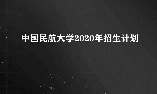 中国民航大学2020年招生计划