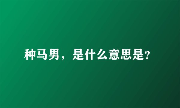 种马男，是什么意思是？