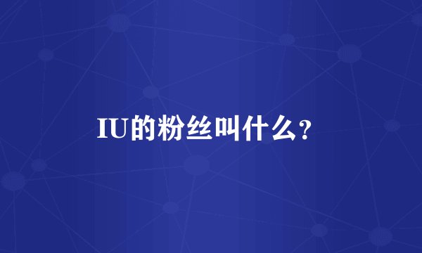 IU的粉丝叫什么？