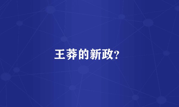 王莽的新政？