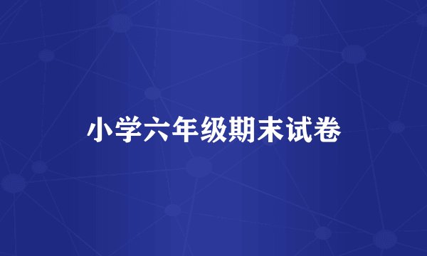 小学六年级期末试卷
