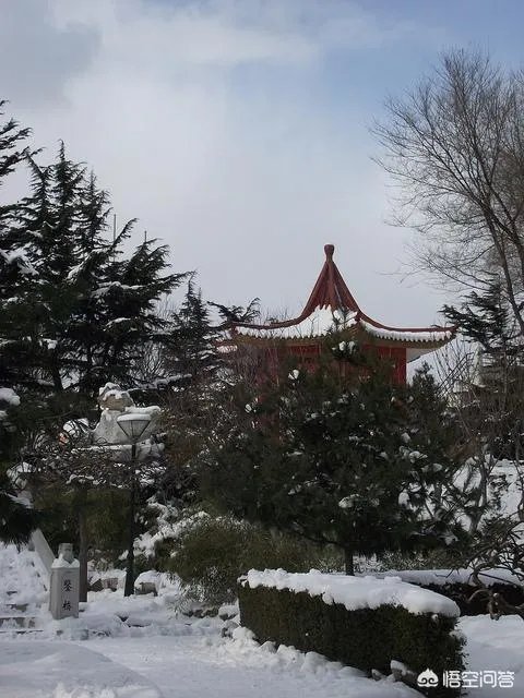 海事大学和东财