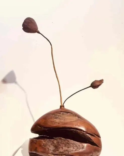 警方在侦破申聪被拐案后，你认为申聪应该与养父母还是亲生父母一起生活？