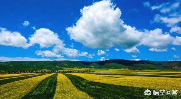 青海门源你去过吗？