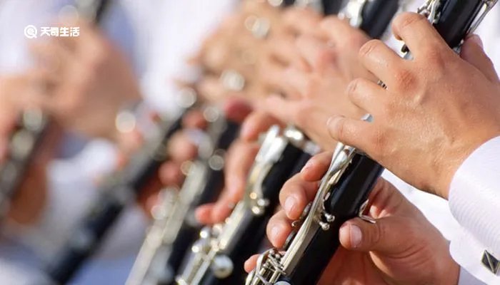 黑管是什么乐器