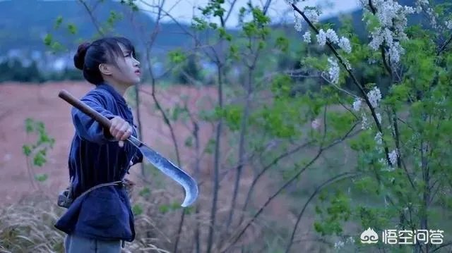 李子柒是不是文化输出引热议,你怎么看?