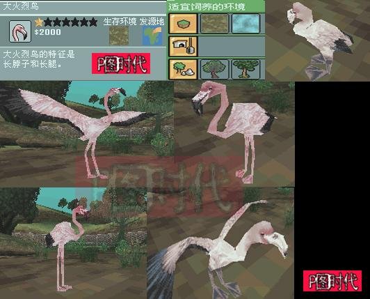 图文攻略 动物园大亨2