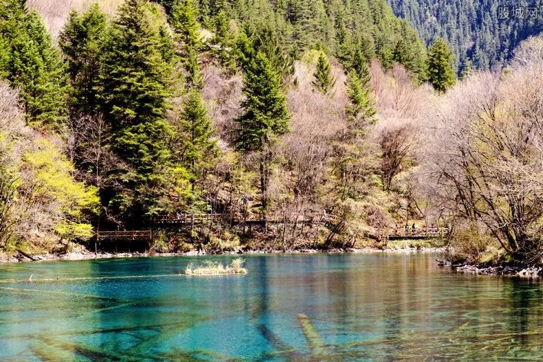 九寨沟最新价格 门票需要多少钱一张？