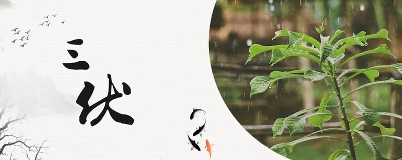 2022年三伏天从什么时候开始 2022年三伏天开始时间