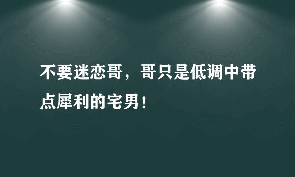 不要迷恋哥，哥只是低调中带点犀利的宅男！